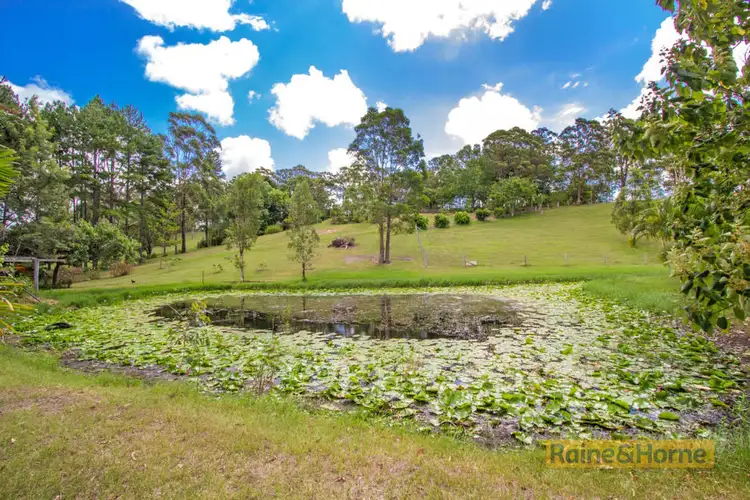 Seventh view of Homely rural property listing, 204 Kanes Road, Round Mountain NSW 2484