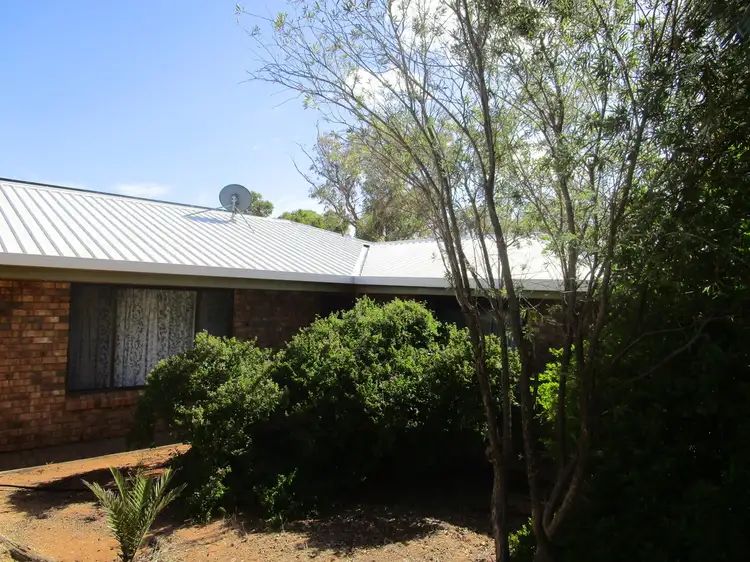 19 Hardwick St, Barmera SA 5345