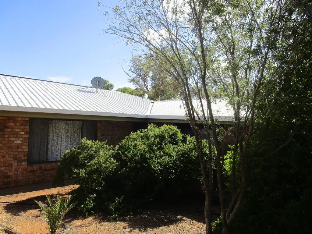Main view of Homely house listing, 19 Hardwick St, Barmera SA 5345
