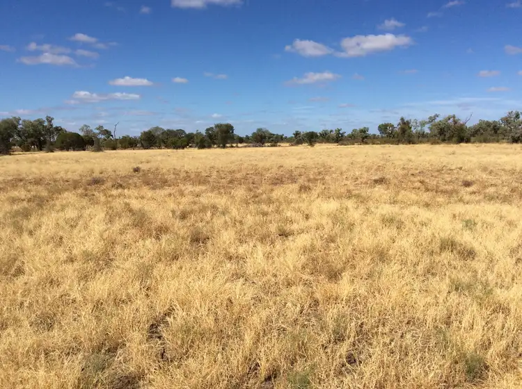 Holmleigh, Prairie Muttaburra Road, Prairie QLD 4816