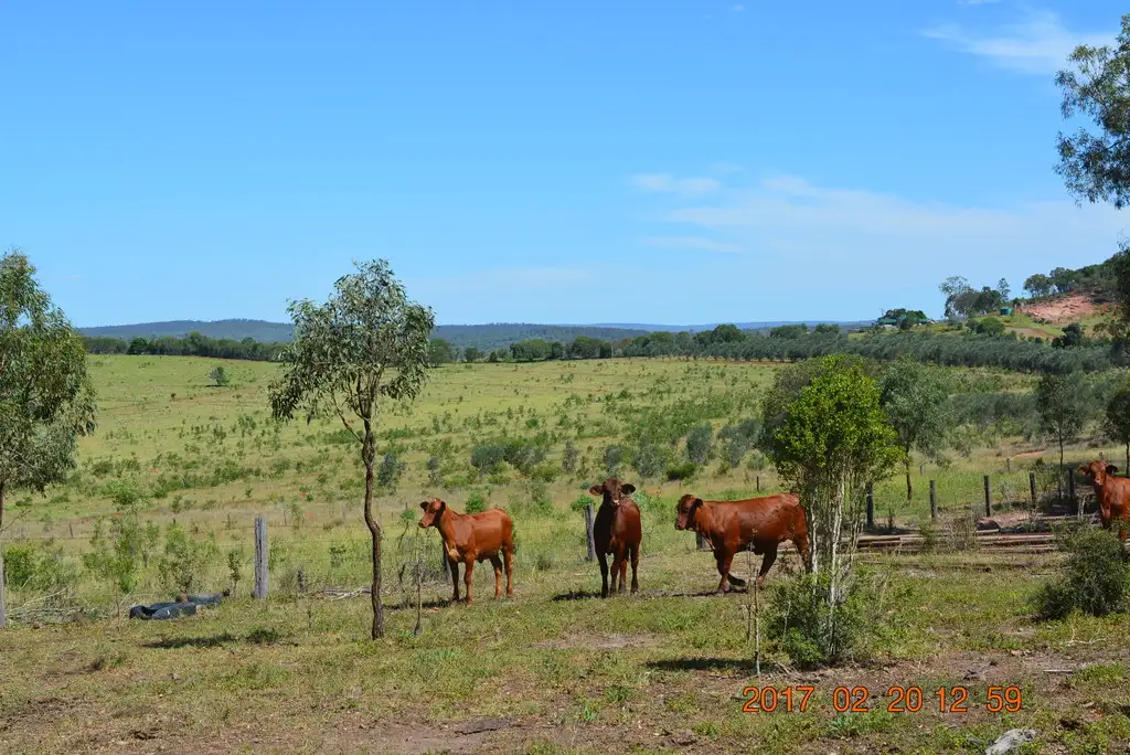 Main view of Homely rural property listing, Address available on request