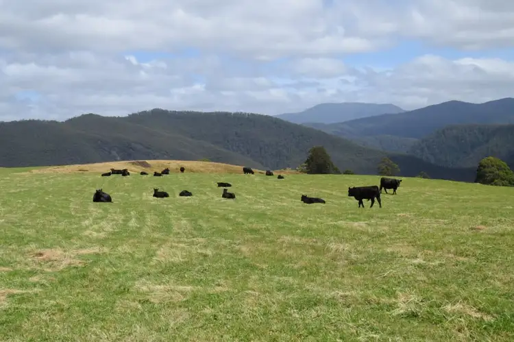 Third view of Homely rural property listing, 539 Warringa Road, Preston TAS 7315