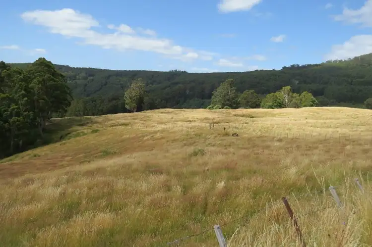 Seventh view of Homely rural property listing, 539 Warringa Road, Preston TAS 7315