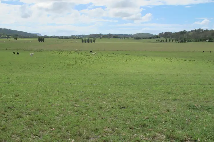 Fourth view of Homely rural property listing, 199 Yandina Bli Bli Road, Maroochy River QLD 4561