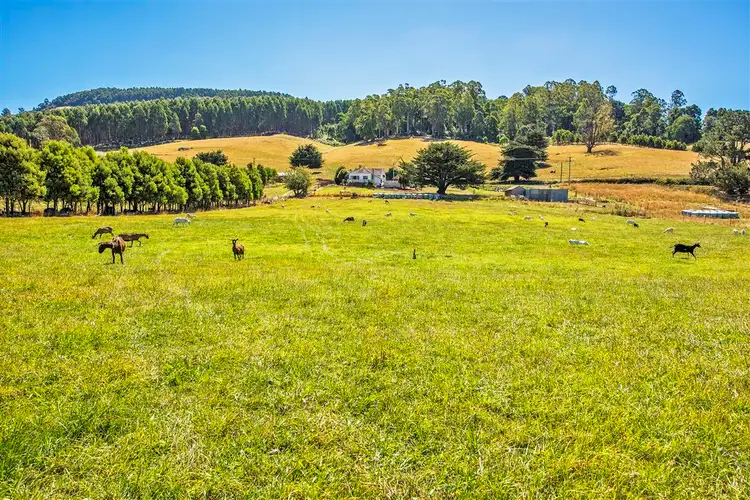 Second view of Homely rural property listing, 1772 South Riana Road, Gunns Plains TAS 7315