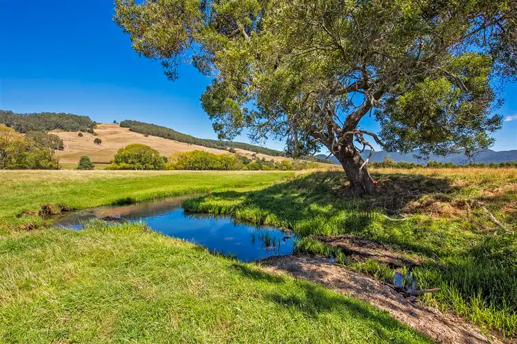 Fourth view of Homely rural property listing, 1772 South Riana Road, Gunns Plains TAS 7315