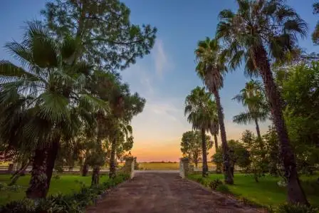 Main view of Homely rural property listing, 587 Rolfe Road, Finley NSW 2713