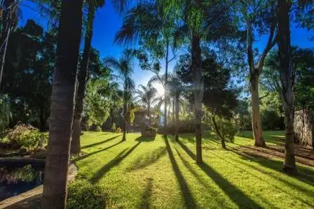 Second view of Homely rural property listing, 587 Rolfe Road, Finley NSW 2713