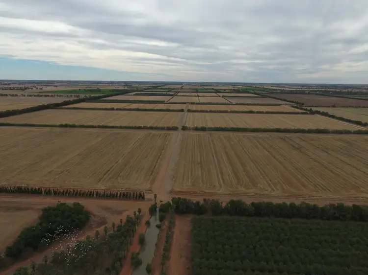Fourth view of Homely rural property listing, 587 Rolfe Road, Finley NSW 2713