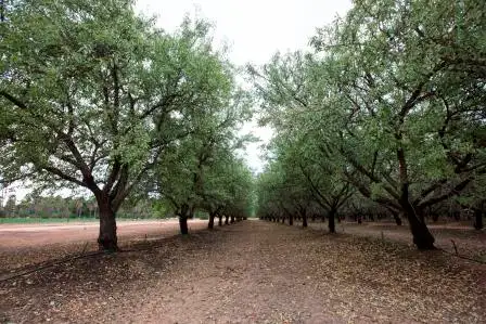 Fifth view of Homely rural property listing, 587 Rolfe Road, Finley NSW 2713