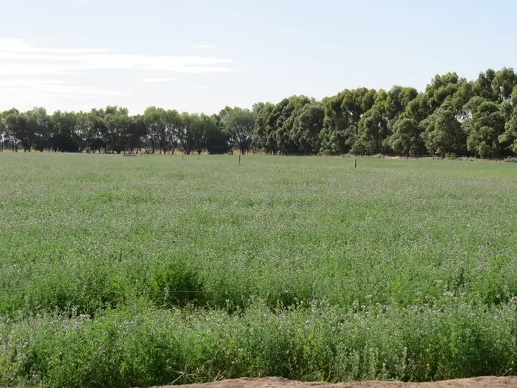 Seventh view of Homely rural property listing, 587 Rolfe Road, Finley NSW 2713