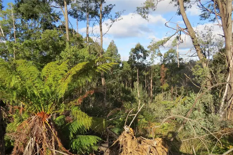 Third view of Homely rural property listing, . Tylers Road, Sheffield TAS 7306