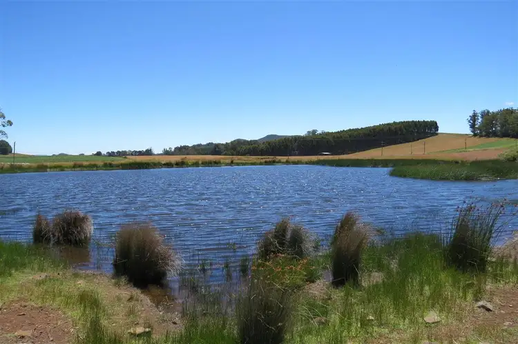 Fifth view of Homely rural property listing, . Tylers Road, Sheffield TAS 7306
