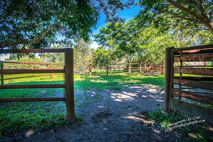 Fifth view of Homely rural property listing, 1222 / Lot 1 Round Hill Rd, Captain Creek QLD 4677