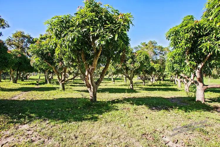 Sixth view of Homely rural property listing, 1222 / Lot 1 Round Hill Rd, Captain Creek QLD 4677