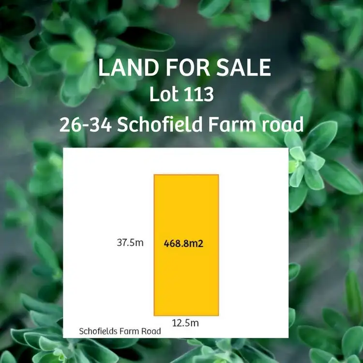 Main view of Homely house listing, 113 Schofields Farm Road, Schofields NSW 2762