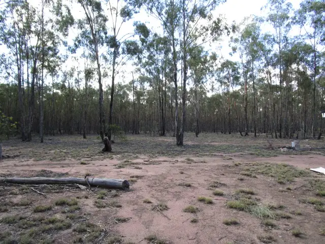 Fifth view of Homely rural property listing, LOT 49 GORANBA LANE, Tara QLD 4421