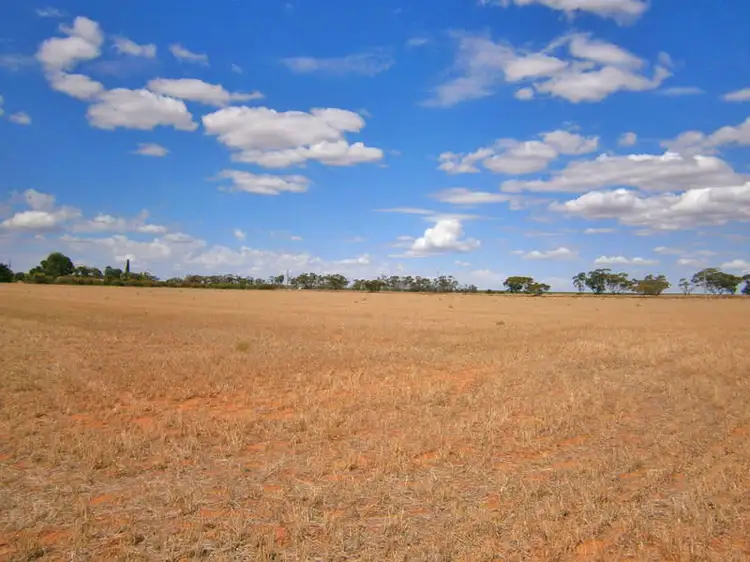 Third view of Homely rural property listing, Lot 31 Sturt Highway, Waikerie SA 5330