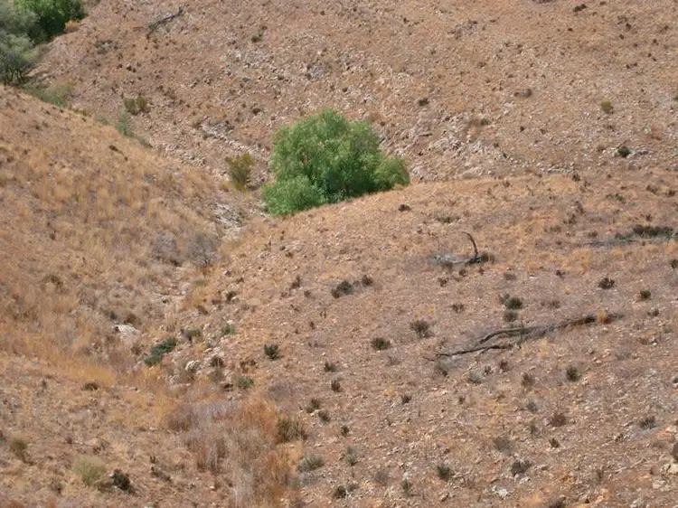 Fourth view of Homely rural property listing, Lot 31 Sturt Highway, Waikerie SA 5330