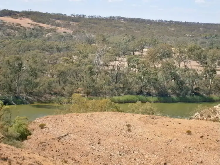 Sixth view of Homely rural property listing, Lot 31 Sturt Highway, Waikerie SA 5330