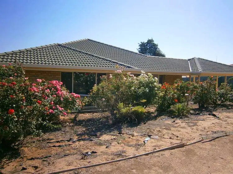 3 Edwards Crescent, Waikerie SA 5330