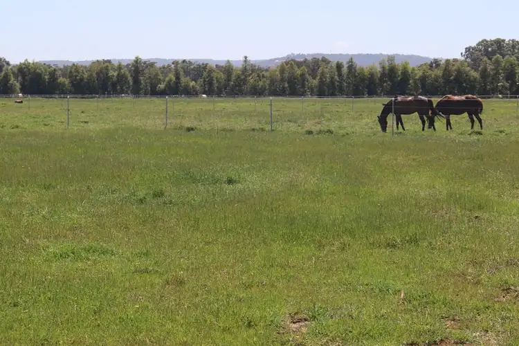 56 RILEY RD, Waroona WA 6215