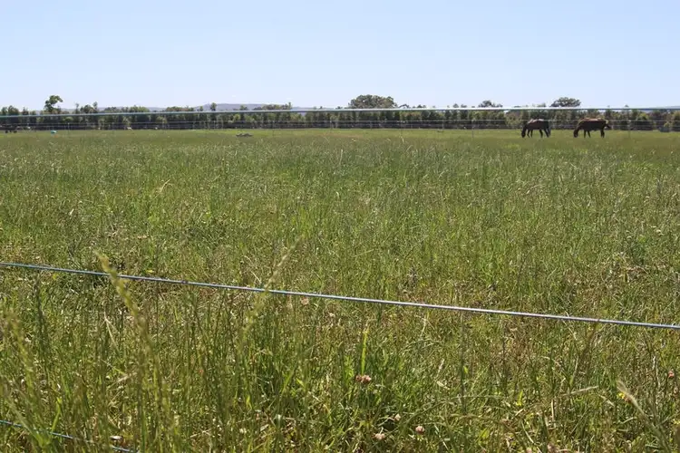 Sixth view of Homely rural property listing, 56 RILEY RD, Waroona WA 6215