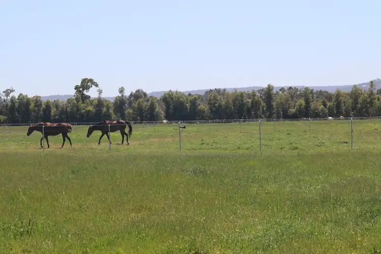 Seventh view of Homely rural property listing, 56 RILEY RD, Waroona WA 6215