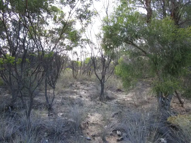 Main view of Homely rural property listing, LOT 186 TREGATHLYN ROAD, Tara QLD 4421