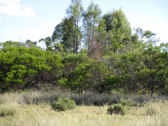 Second view of Homely rural property listing, LOT 186 TREGATHLYN ROAD, Tara QLD 4421