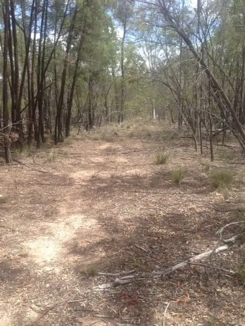 Third view of Homely rural property listing, LOT 71 MALES DRIVE, Tara QLD 4421