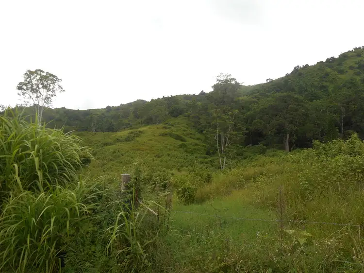 Main view of Homely land listing, 1731 Mirani-Mt Ossa Road, Dows Creek QLD 4754