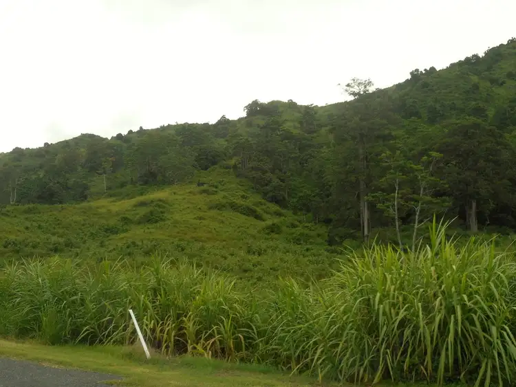 Second view of Homely land listing, 1731 Mirani-Mt Ossa Road, Dows Creek QLD 4754
