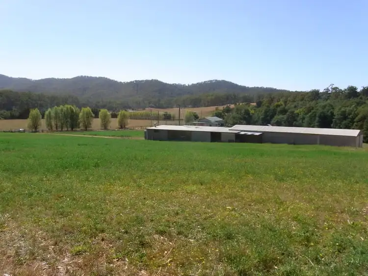 Second view of Homely rural property listing, 501 Upper Scamander Rd, Scamander TAS 7215