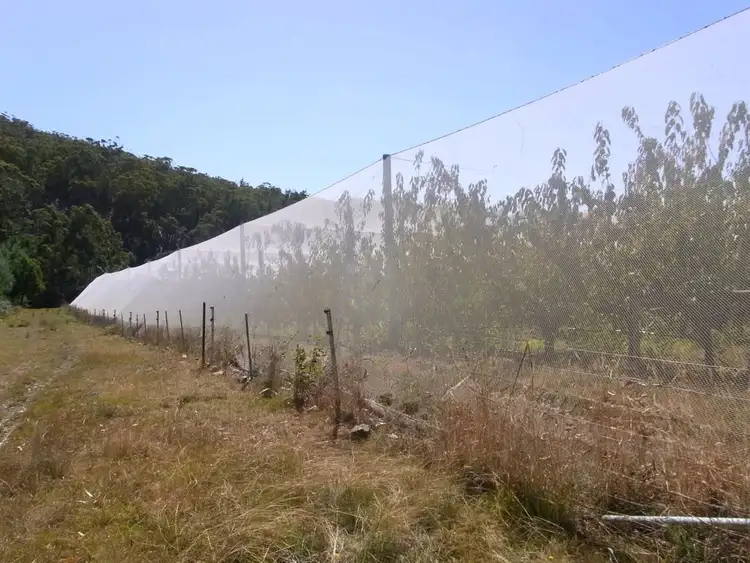 Third view of Homely rural property listing, 501 Upper Scamander Rd, Scamander TAS 7215