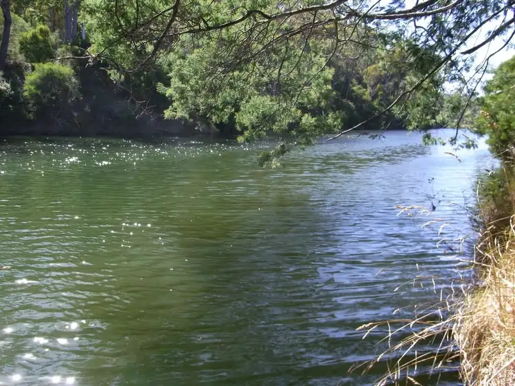 Fourth view of Homely rural property listing, 501 Upper Scamander Rd, Scamander TAS 7215