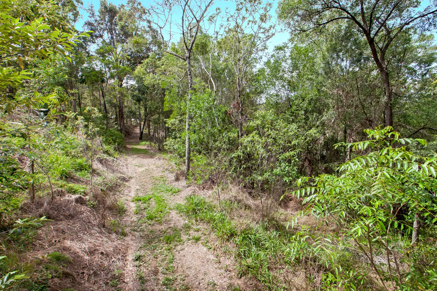 Main view of Homely land listing, 24 Old Kiel Mountain Road, Kiels Mountain QLD 4559