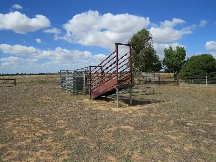 Third view of Homely rural property listing, "Jonree" Flanagans Lane, Deniliquin NSW 2710