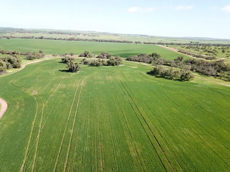 Main view of Homely rural property listing, 153 Cogley Road, Nabawa WA 6532