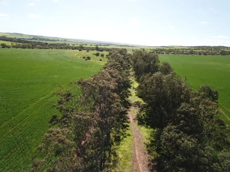 Sixth view of Homely rural property listing, 153 Cogley Road, Nabawa WA 6532