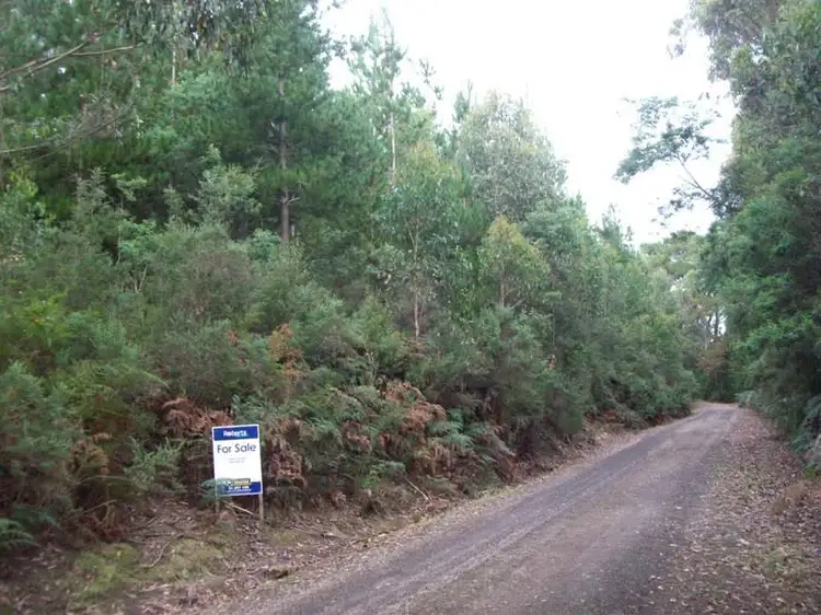 Main view of Homely rural property listing, Chilcotts Road, Sprent TAS 7315