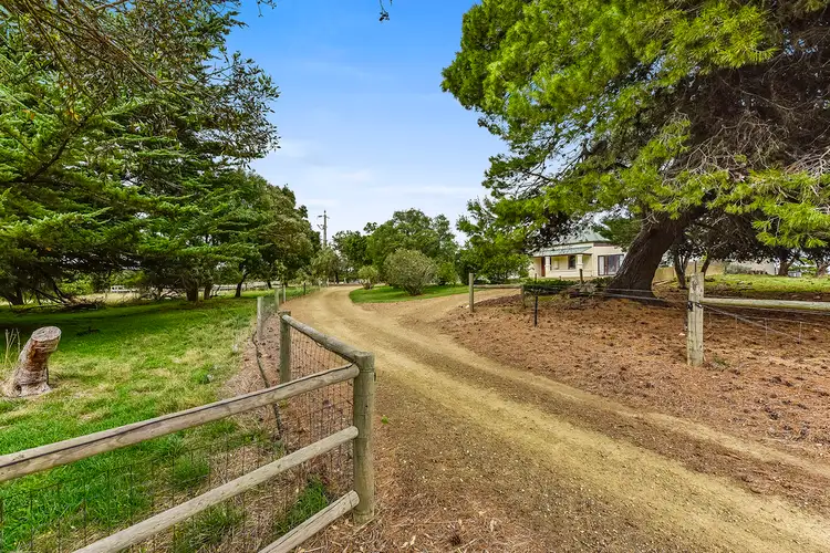 Main view of Homely rural property listing, 263 Burkhills Lane, Millicent SA 5280
