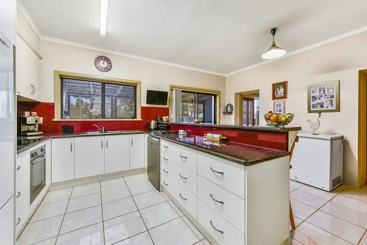 Fourth view of Homely rural property listing, 263 Burkhills Lane, Millicent SA 5280