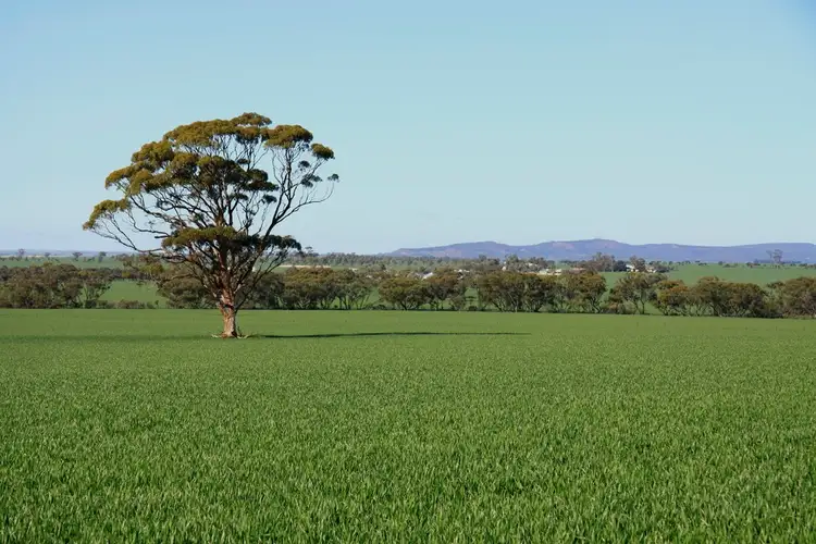 Sixth view of Homely rural property listing, Address available on request