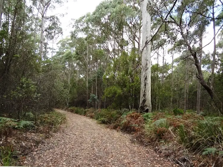 Main view of Homely rural property listing, . Delantys Road, Birralee TAS 7303