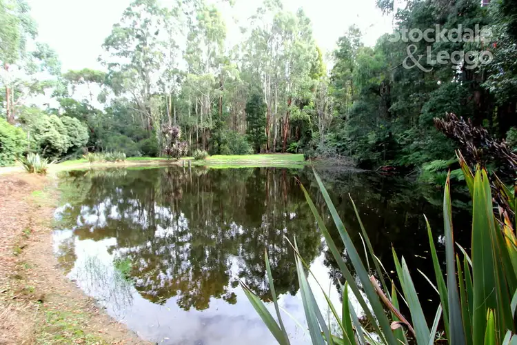 Main view of Homely rural property listing, 250 Fishers Road, Boolarra South VIC 3870