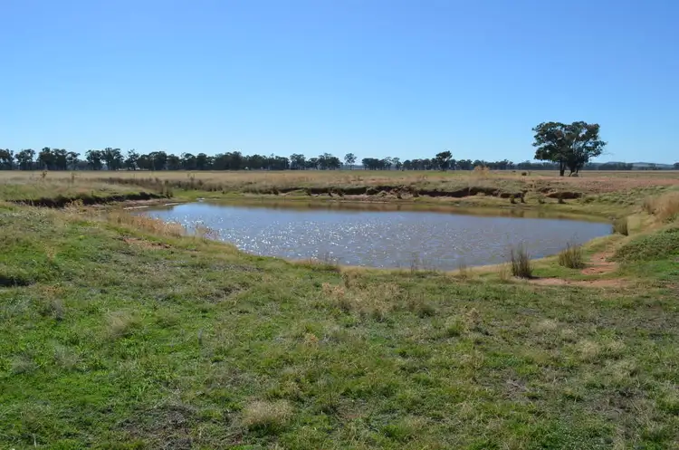 Second view of Homely rural property listing, - 'Wildwood' 71 Wilesmith Road, Temora NSW 2666