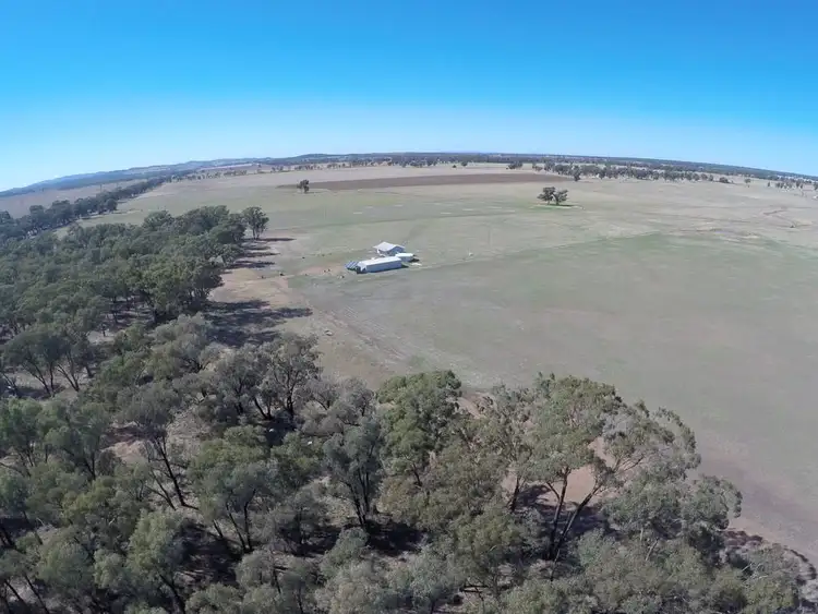 Fourth view of Homely rural property listing, - 'Wildwood' 71 Wilesmith Road, Temora NSW 2666