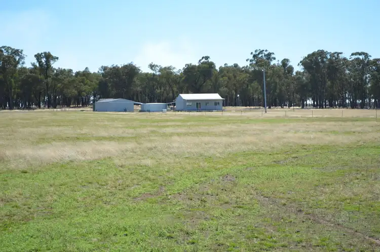 Fifth view of Homely rural property listing, - 'Wildwood' 71 Wilesmith Road, Temora NSW 2666