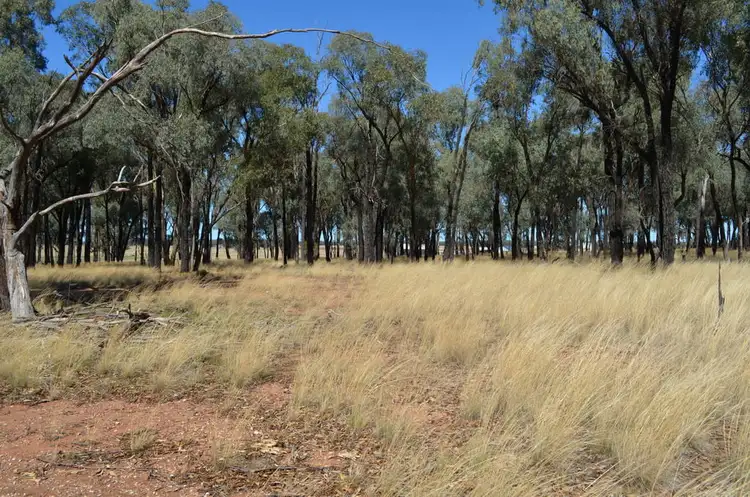 Sixth view of Homely rural property listing, - 'Wildwood' 71 Wilesmith Road, Temora NSW 2666
